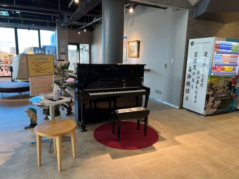 象の鼻 万座毛周辺活性化施設 – 国頭郡恩納村 - ストリートピアノ STPIA