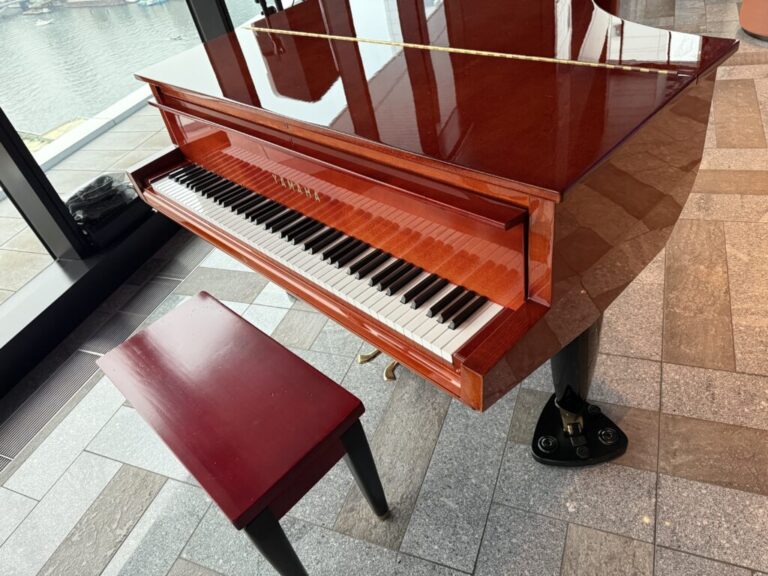 メズム東京 オートグラフ コレクション - 港区 - ストリートピアノ STPIA