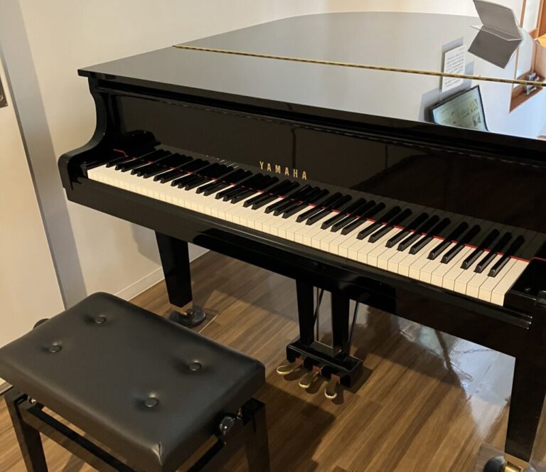 道の駅 猪苗代 – 耶麻郡猪苗代町 - ストリートピアノ STPIA