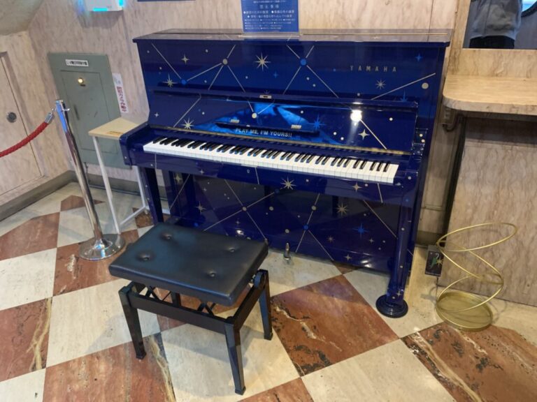 歌舞伎町チェックメイトビル – 新宿区 - ストリートピアノ STPIA