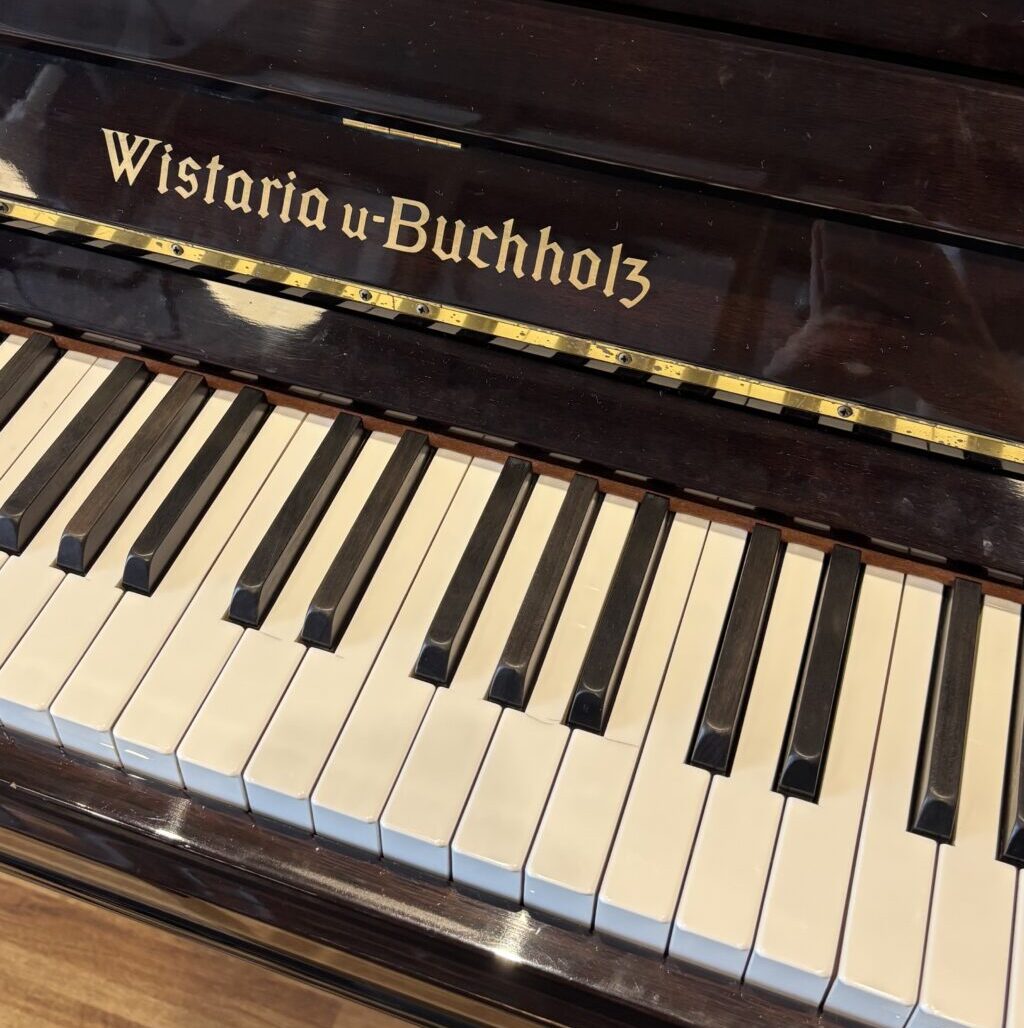 ギンザフォレスト – 川崎市多摩区 - ストリートピアノ STPIA