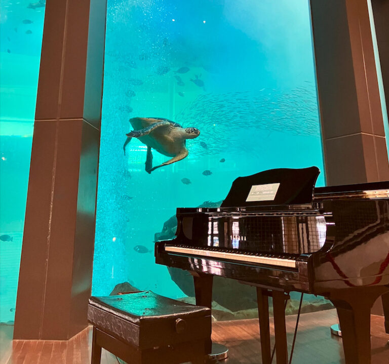 ベイサイドプレイス博多 – 福岡市博多区 - ストリートピアノ STPIA