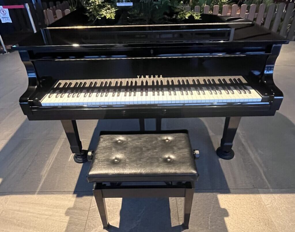 南紀白浜空港 – 西牟婁郡白浜町 - ストリートピアノ STPIA