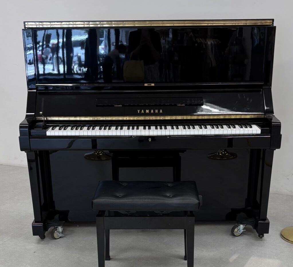 イオン延岡ショッピングセンター - 延岡市 - ストリートピアノ STPIA