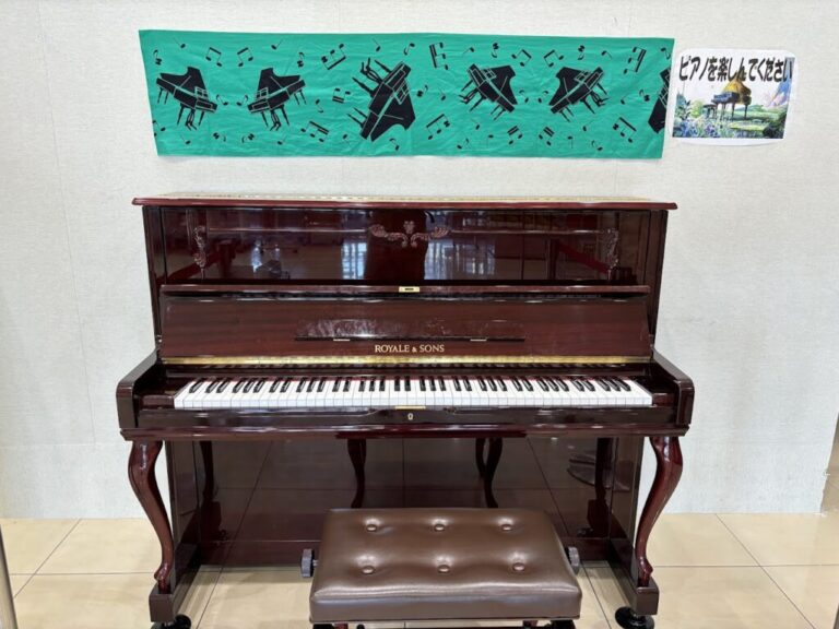 ベルクス 浮間舟渡店 - 板橋区 - ストリートピアノ STPIA