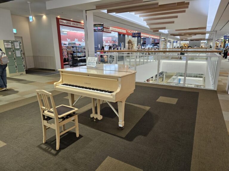 マークイズ静岡 - 静岡市 - ストリートピアノ STPIA
