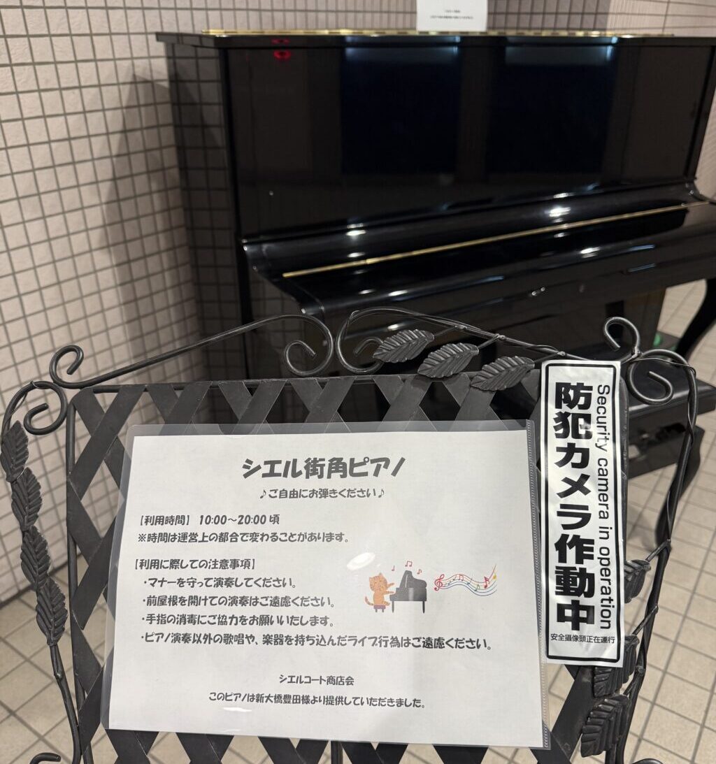 東京メトロ豊洲駅 - 江東区 - ストリートピアノ STPIA