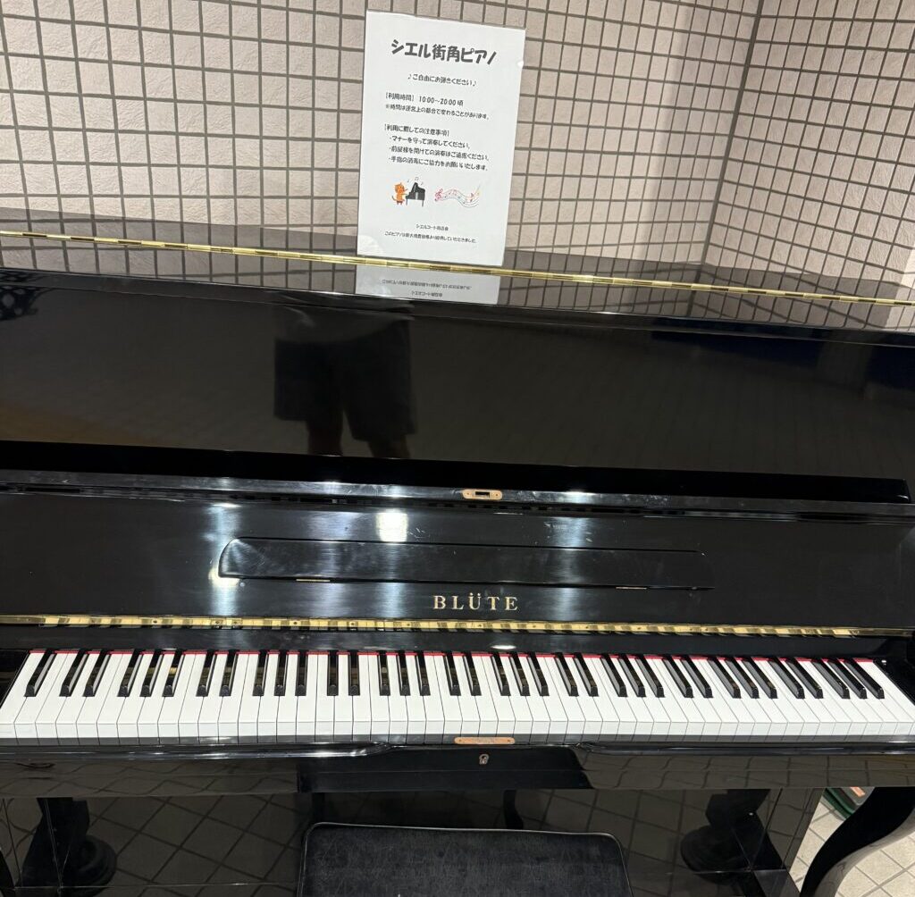 東京メトロ豊洲駅 - 江東区 - ストリートピアノ STPIA