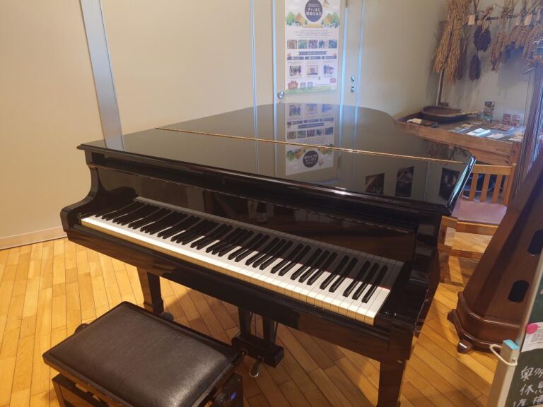 羽置の里びりゅう館 - 上野原市 - ストリートピアノ STPIA