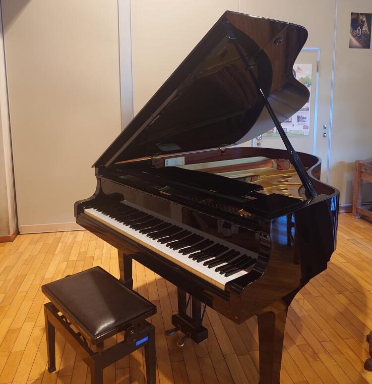 羽置の里びりゅう館 - 上野原市 - ストリートピアノ STPIA