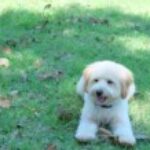 プロフィール写真