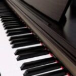 プロフィール写真