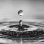 プロフィール写真