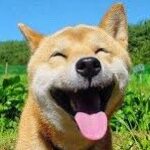 なおっき さんのプロフィール写真