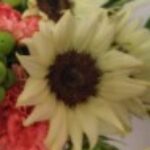 プロフィール写真